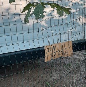 Meet your Posher, Annie